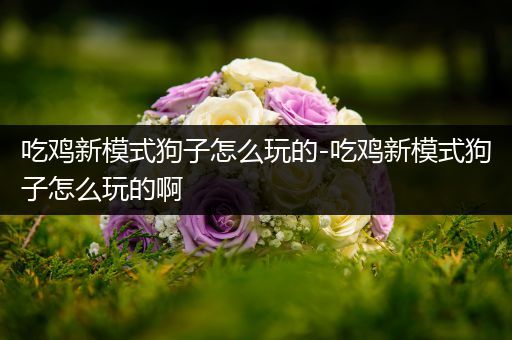 吃鸡新模式狗子怎么玩的-吃鸡新模式狗子怎么玩的啊