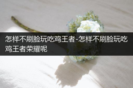 怎样不刷脸玩吃鸡王者-怎样不刷脸玩吃鸡王者荣耀呢