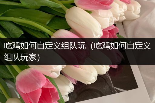 吃鸡如何自定义组队玩（吃鸡如何自定义组队玩家）