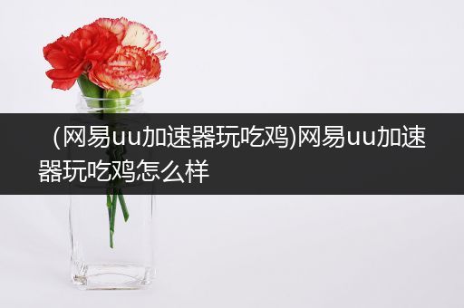 （网易uu加速器玩吃鸡)网易uu加速器玩吃鸡怎么样