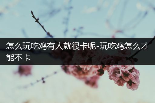 怎么玩吃鸡有人就很卡呢-玩吃鸡怎么才能不卡