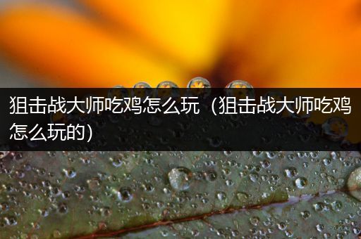 狙击战大师吃鸡怎么玩（狙击战大师吃鸡怎么玩的）