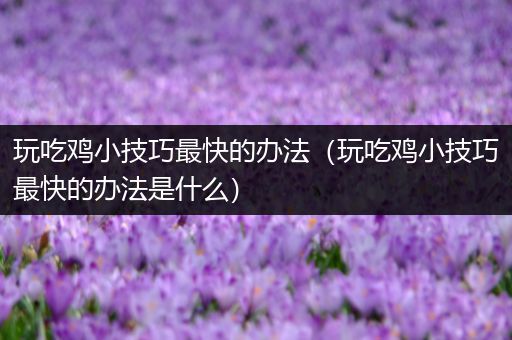 玩吃鸡小技巧最快的办法（玩吃鸡小技巧最快的办法是什么）