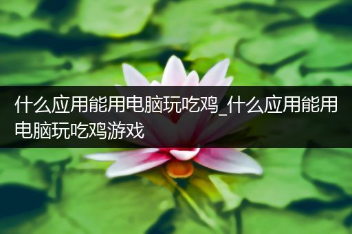 什么应用能用电脑玩吃鸡_什么应用能用电脑玩吃鸡游戏