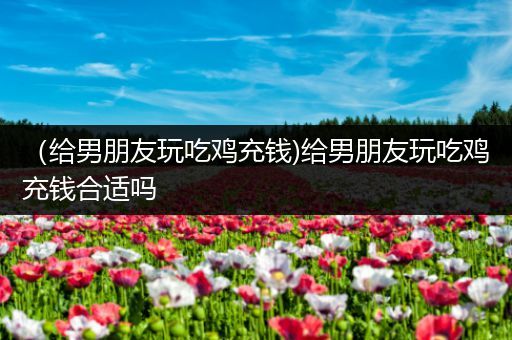 （给男朋友玩吃鸡充钱)给男朋友玩吃鸡充钱合适吗