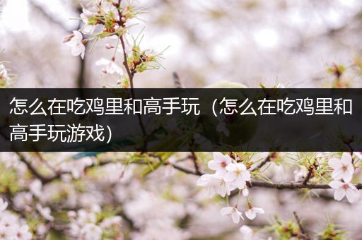 怎么在吃鸡里和高手玩（怎么在吃鸡里和高手玩游戏）
