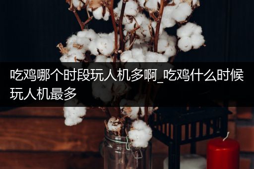 吃鸡哪个时段玩人机多啊_吃鸡什么时候玩人机最多