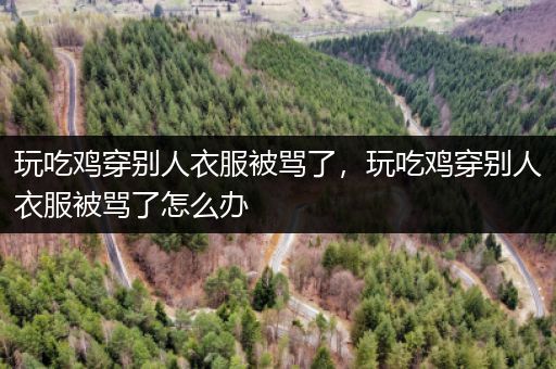 玩吃鸡穿别人衣服被骂了，玩吃鸡穿别人衣服被骂了怎么办