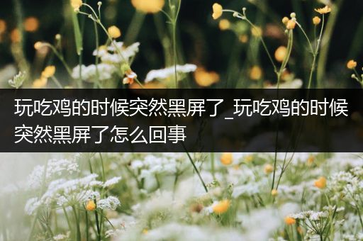 玩吃鸡的时候突然黑屏了_玩吃鸡的时候突然黑屏了怎么回事