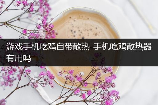 游戏手机吃鸡自带散热-手机吃鸡散热器有用吗