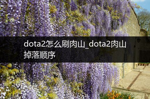 dota2怎么刷肉山_dota2肉山掉落顺序