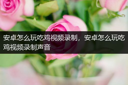 安卓怎么玩吃鸡视频录制，安卓怎么玩吃鸡视频录制声音