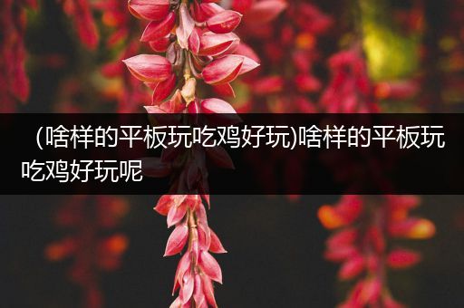 （啥样的平板玩吃鸡好玩)啥样的平板玩吃鸡好玩呢