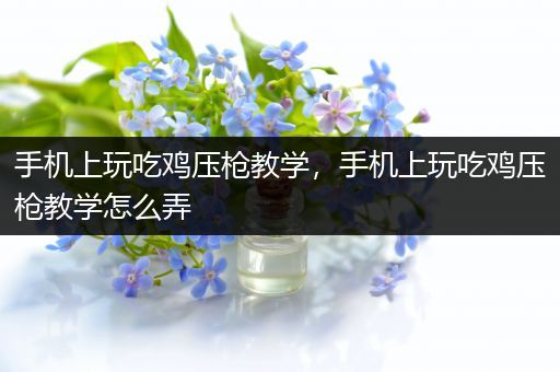 手机上玩吃鸡压枪教学，手机上玩吃鸡压枪教学怎么弄