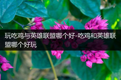 玩吃鸡与英雄联盟哪个好-吃鸡和英雄联盟哪个好玩