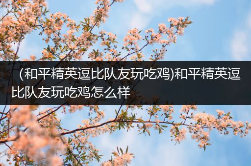 （和平精英逗比队友玩吃鸡)和平精英逗比队友玩吃鸡怎么样
