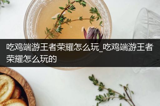 吃鸡端游王者荣耀怎么玩_吃鸡端游王者荣耀怎么玩的