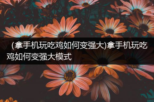 （拿手机玩吃鸡如何变强大)拿手机玩吃鸡如何变强大模式