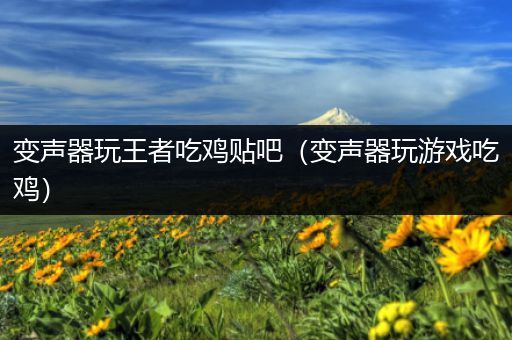 变声器玩王者吃鸡贴吧（变声器玩游戏吃鸡）
