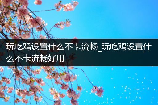 玩吃鸡设置什么不卡流畅_玩吃鸡设置什么不卡流畅好用