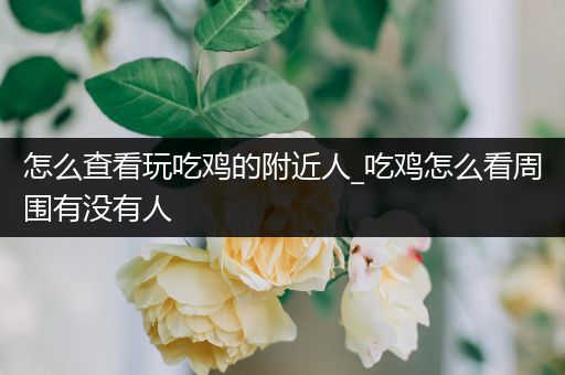 怎么查看玩吃鸡的附近人_吃鸡怎么看周围有没有人
