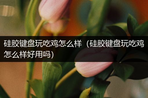 硅胶键盘玩吃鸡怎么样（硅胶键盘玩吃鸡怎么样好用吗）