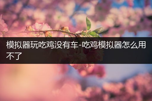 模拟器玩吃鸡没有车-吃鸡模拟器怎么用不了
