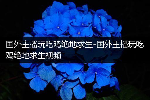 国外主播玩吃鸡绝地求生-国外主播玩吃鸡绝地求生视频