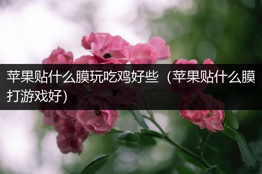 苹果贴什么膜玩吃鸡好些（苹果贴什么膜打游戏好）