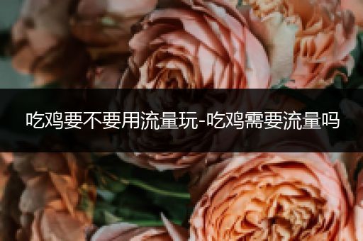 吃鸡要不要用流量玩-吃鸡需要流量吗