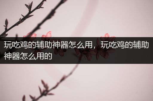 玩吃鸡的辅助神器怎么用，玩吃鸡的辅助神器怎么用的