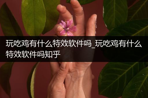 玩吃鸡有什么特效软件吗_玩吃鸡有什么特效软件吗知乎
