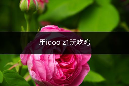 用iqoo z1玩吃鸡