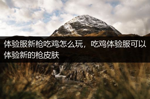 体验服新枪吃鸡怎么玩，吃鸡体验服可以体验新的枪皮肤