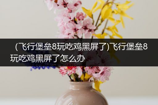 （飞行堡垒8玩吃鸡黑屏了)飞行堡垒8玩吃鸡黑屏了怎么办