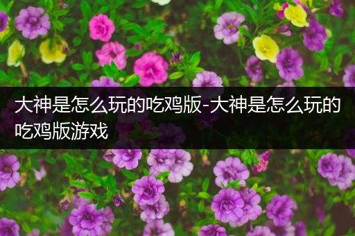 大神是怎么玩的吃鸡版-大神是怎么玩的吃鸡版游戏