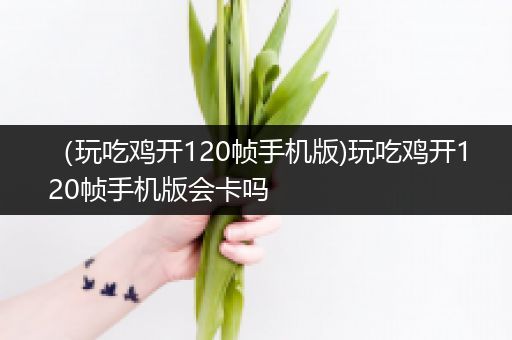 （玩吃鸡开120帧手机版)玩吃鸡开120帧手机版会卡吗