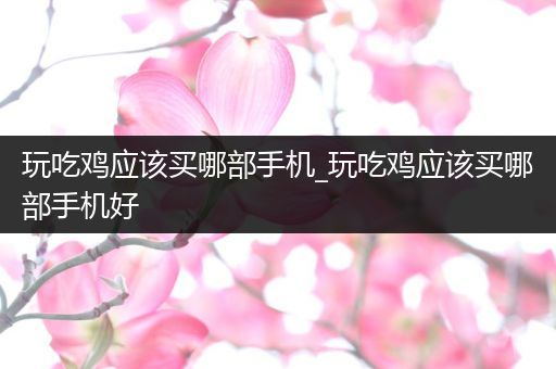 玩吃鸡应该买哪部手机_玩吃鸡应该买哪部手机好