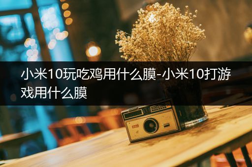 小米10玩吃鸡用什么膜-小米10打游戏用什么膜