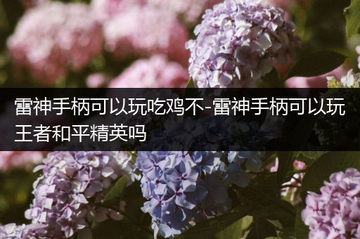 雷神手柄可以玩吃鸡不-雷神手柄可以玩王者和平精英吗