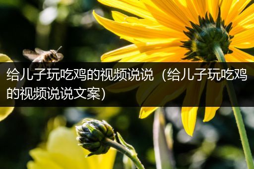 给儿子玩吃鸡的视频说说（给儿子玩吃鸡的视频说说文案）
