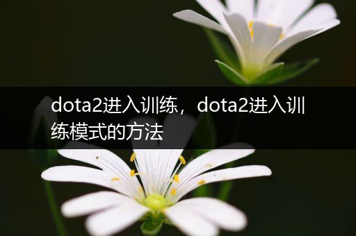 dota2进入训练，dota2进入训练模式的方法