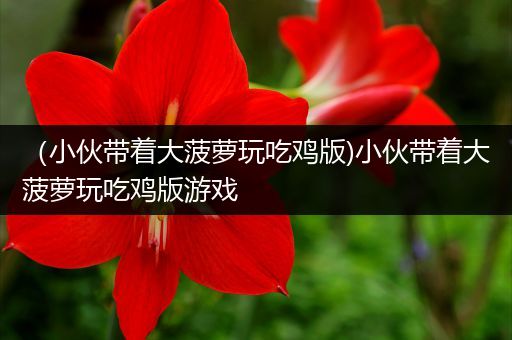 （小伙带着大菠萝玩吃鸡版)小伙带着大菠萝玩吃鸡版游戏
