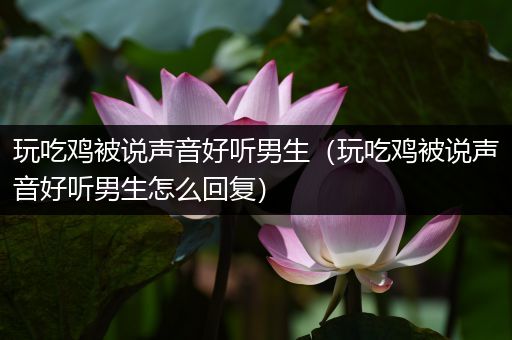 玩吃鸡被说声音好听男生（玩吃鸡被说声音好听男生怎么回复）