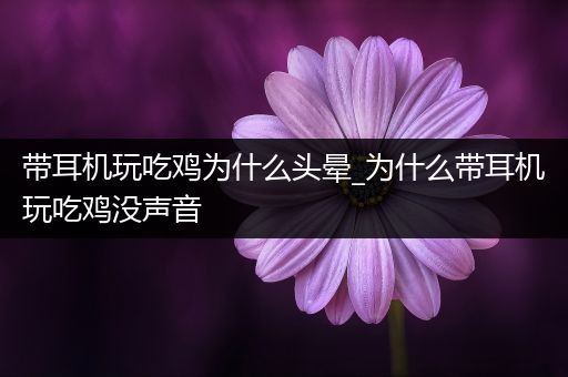 带耳机玩吃鸡为什么头晕_为什么带耳机玩吃鸡没声音