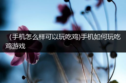 （手机怎么样可以玩吃鸡)手机如何玩吃鸡游戏