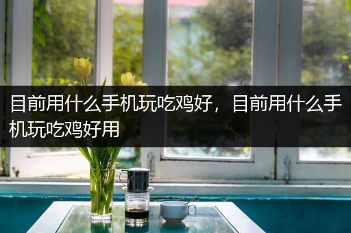 目前用什么手机玩吃鸡好，目前用什么手机玩吃鸡好用