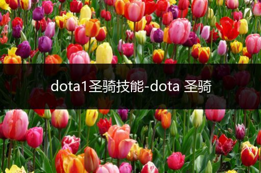 dota1圣骑技能-dota 圣骑