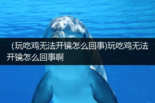 （玩吃鸡无法开镜怎么回事)玩吃鸡无法开镜怎么回事啊