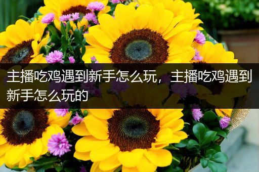 主播吃鸡遇到新手怎么玩，主播吃鸡遇到新手怎么玩的